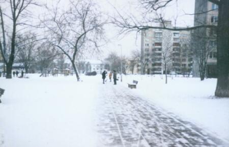 nieve1.jpg